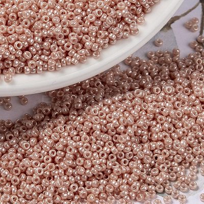 MIYUKI Round Rocailles Beads X-SEED-G009-RR0429-1