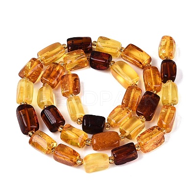 Natural Amber Beads Strands G-N371-23A-01-1