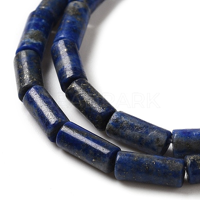 Natural Lapis Lazuli Beads Strands G-B091-A15-01-1