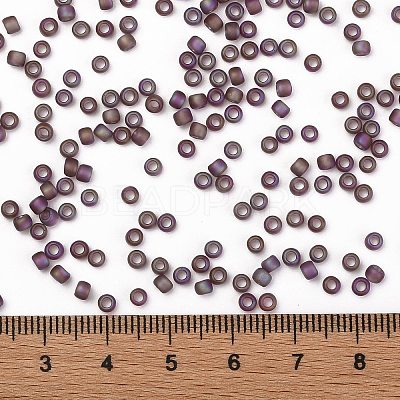 TOHO 8/0 Round Beads X-SEED-TR08-0166BF-1