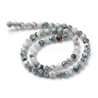 Natural Tree Agate Bead Strands G-R412-25-6mm-1