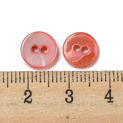 Freshwater Shell Buttons SHEL-C005-01A-06-1