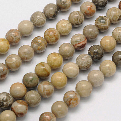 Natural Fossil Coral Round Bead Strands X-G-N0166-05-8mm-1