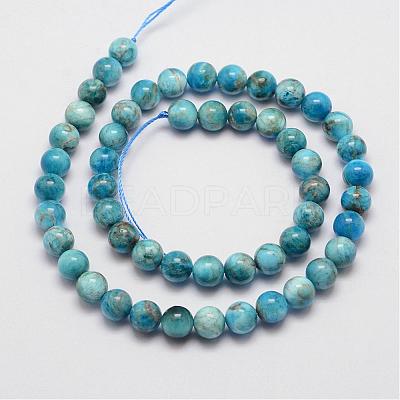 Natural Apatite Beads Strands G-D856-01-10mm-1