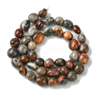 Natural Fossil Coral Beads Strands G-G117-A01-02-1