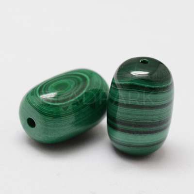 Wax Gourd Natural Malachite Beads X-G-I178-03-8x12-1
