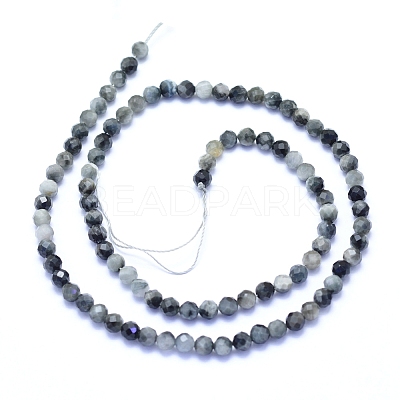 Natural Hawk's Eye Beads Strands G-I279-E14-03-1