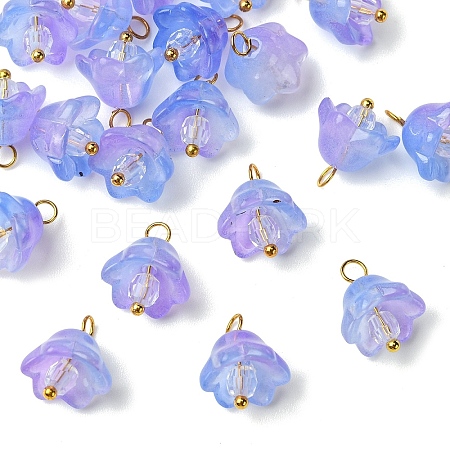 20Pcs Glass & Acrylic Flower Pendants PALLOY-YW00107-02-1