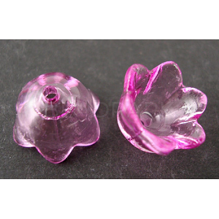 Transparent Acrylic Beads LS-X-PL548-6-1