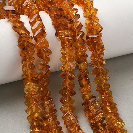 Natural Amber Beads Strands G-K376-C03-01-1