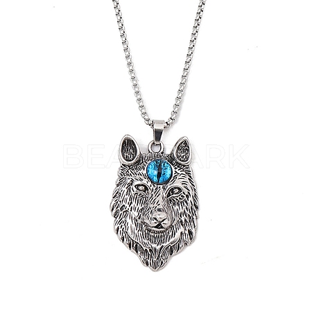 Zinc Alloy with Glass Pendant Necklaces NJEW-M211-09ASP-1