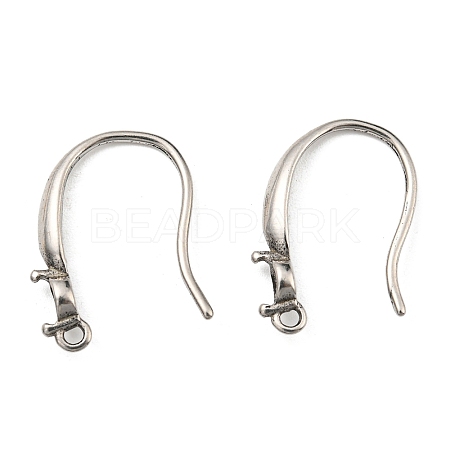 316 Surgical Stainless Steel Earring Hooks STAS-G310-19P-1