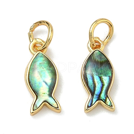 Natural Paua Shell Fish Charms X-KK-F926-04A-1