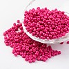 6/0 Baking Paint Glass Seed Beads X-SEED-S003-K5-1