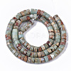 Natural Aqua Terra Jasper Beads Strands G-S366-012B-2