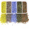 12/0 Opaque Colours Seep Glass Beads SEED-YW0001-09C-5