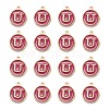 Golden Plated Alloy Enamel Charms LS-ENAM-S118-08U-2