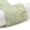 Natural Prehnite Beads Strands G-G161-A13-03-1