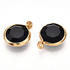 K9 Glass Charms X1-GLAA-T023-37A-01-2