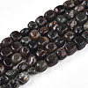 Natural Biotite Beads Strands G-N346-04A-02-2