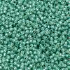 TOHO 11/0 Round Beads X-SEED-TR11-PF2119-2