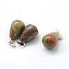 Teardrop Natural Unakite Pendants G-Q435-23-2