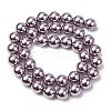 Electroplated Shell Pearl Beads Strands BSHE-G041-10mm-02-2