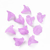 Transparent Acrylic Beads BSF796-C08-4