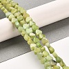 Natural Dolomite Beads Strands G-F765-H04-01-2