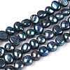 Natural Cultured Freshwater Pearl Beads Strands PEAR-I004-01C-2
