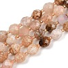 Natural Cherry Blossom Agate Beads Strands G-N342-149I-18-2