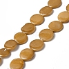 Spray Painted Natural Freshwater Shell Beads Strands SHEL-C003-05F-1