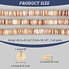  3 Strands Natural Shell Beads Strands SSHEL-NB0001-44B-2