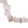 Natural Rose Quartz Anklets AJEW-AN00592-07-3