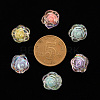 Transparent Acrylic Beads TACR-T024-06B-3