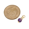 5Pcs 5 Styles Natural Green Aventurine & Rose Quartz & Amethyst & Dyed White Jade & Citrine Round Charms PALLOY-JF04363-2