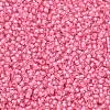 TOHO Round Seed Beads X-SEED-TR11-0191C-2