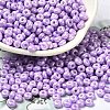Baking Paint Luster Glass Seed Beads SEED-B001-04A-09-1