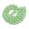 Frosted Handmade Lampwork Beads LAMP-Q039-10H-2