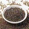 MIYUKI Round Rocailles Beads X-SEED-G008-RR0357-2