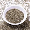 MIYUKI Delica Beads X-SEED-J020-DB1862-2