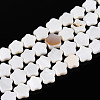 Natural Freshwater Shell Beads Strands SHEL-N027-02-01-1