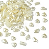 Acrylic Cabochons MRMJ-T063-217-1