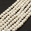 Natural Cultured Freshwater Pearl Beads Strands X-PEAR-F005-06-1