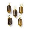Natural Tiger Eye Cloumn Pendants STAS-H221-04G-02-1
