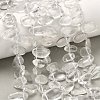 Natural Quartz Crystal Beads Strands G-P604-A22-01-1
