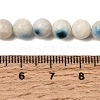 Natural Blue Ice Glacierite Stone Beads Strands G-G078-A01-01-4