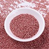 MIYUKI Delica Beads SEED-J020-DB0684-3