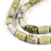 Natural Jade Beads Strands G-N346-01B-13-4