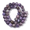 Natural Charoite Beads Strands G-C270-O02-10-3